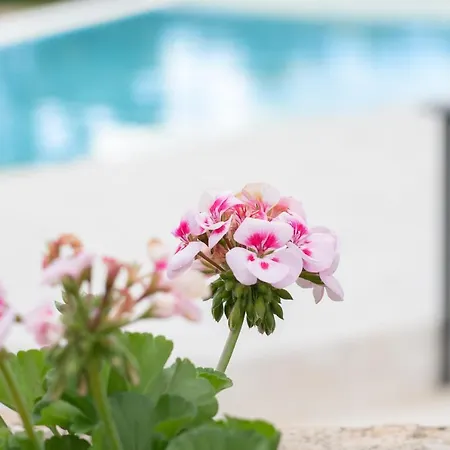 Villa Iris *